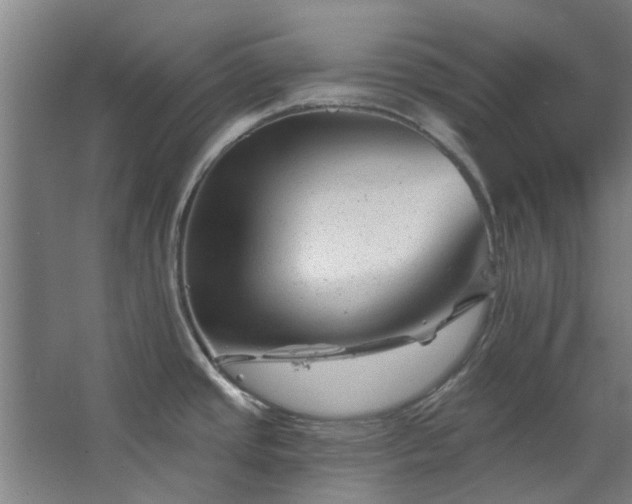 X0000067861437200604201322