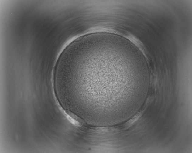 X0000067861438200604201322