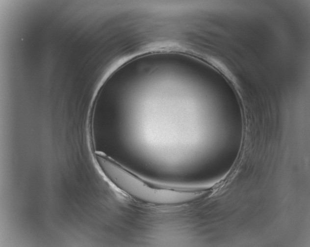 X0000067861440200604201322