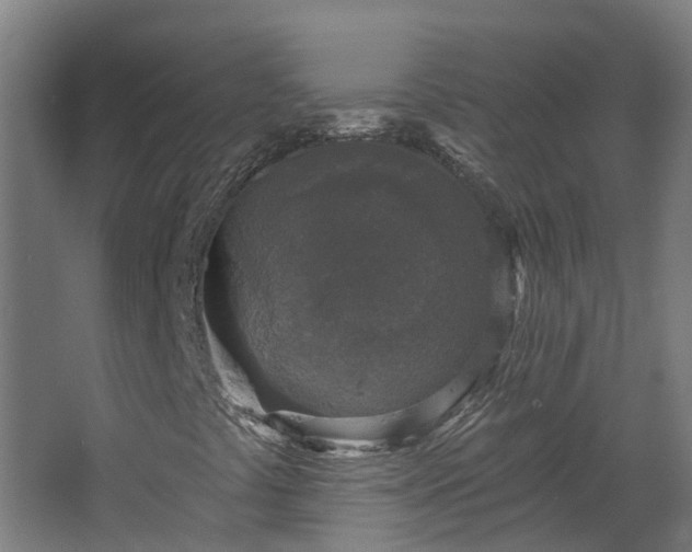 X0000067861441200604201321