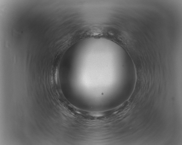 X0000067861442200604201321