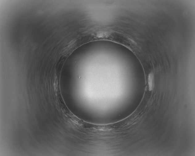 X0000067861443200604201321