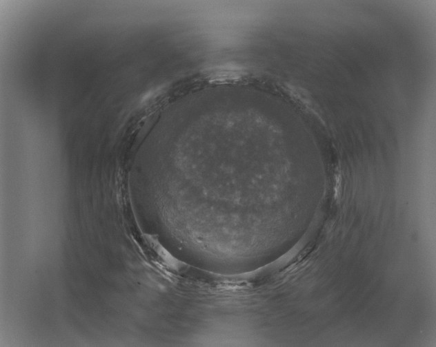 X0000067861445200604201321