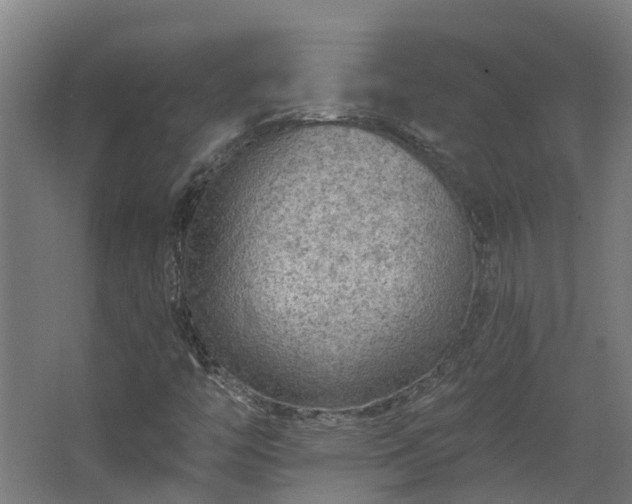X0000067861446200604201321