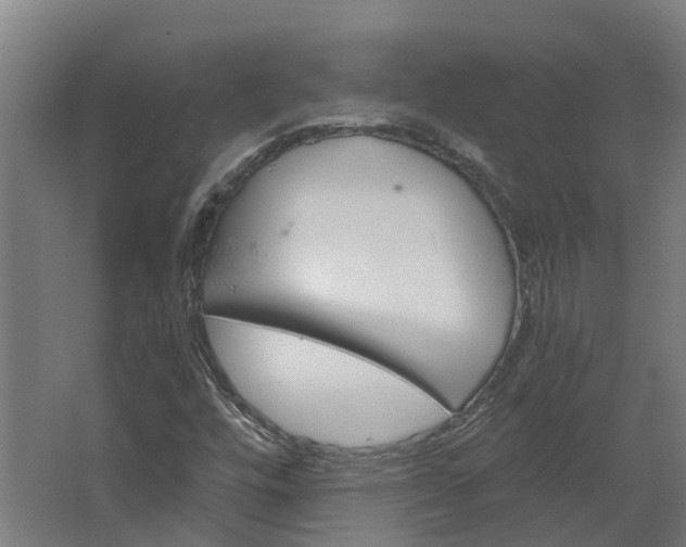 X0000067861448200604201321