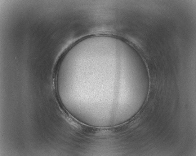 X0000067861462200604201321