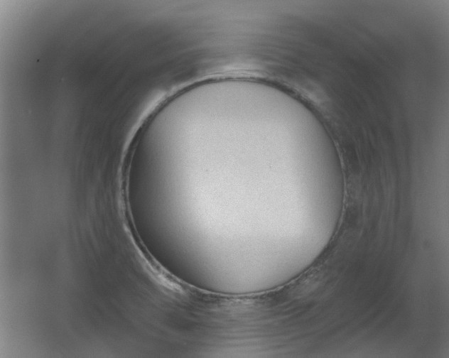 X0000067861470200604201321