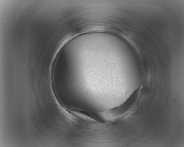 X0000067861475200604201321