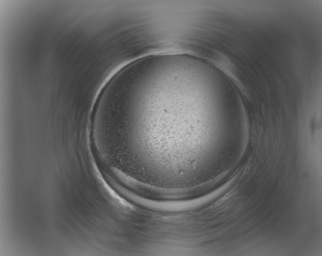 X0000067861484200604201321