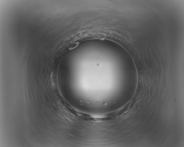 X0000067861490200604201320