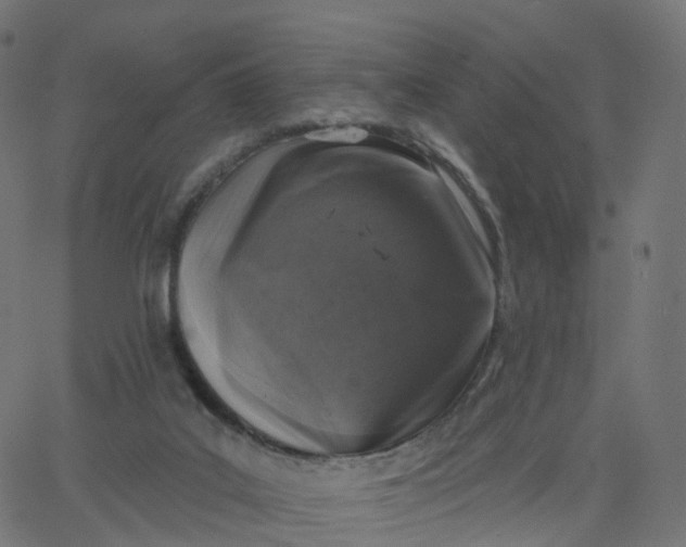 X0000067860019200604271722