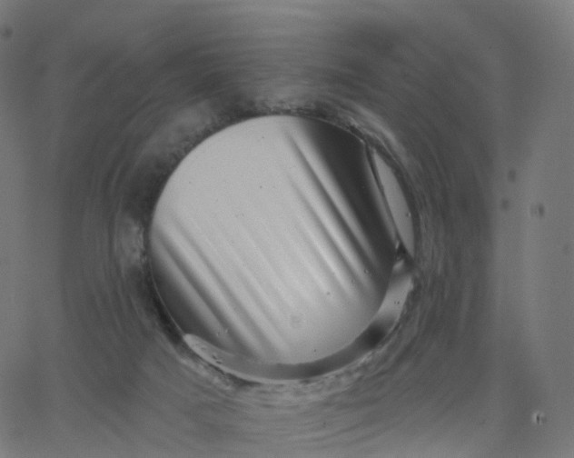 X0000067860025200604271722