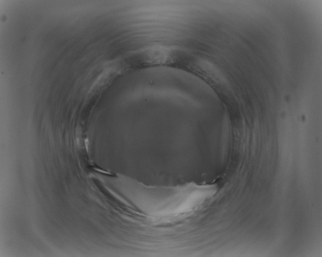 X0000067860035200604271721