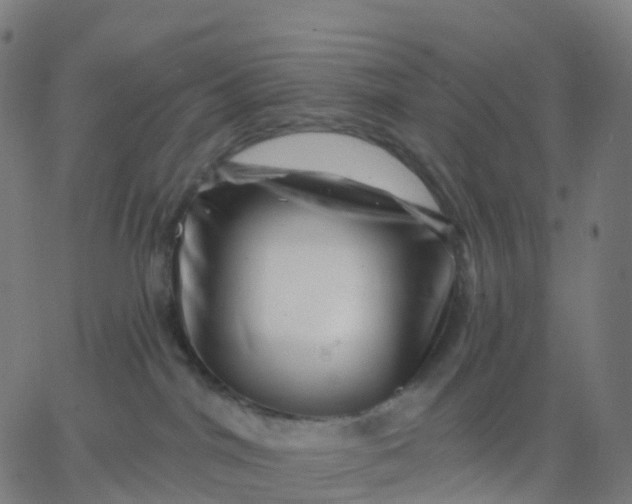 X0000067860044200604271721