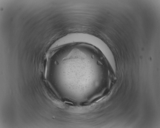 X0000067860045200604271721