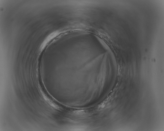 X0000067860054200604271721