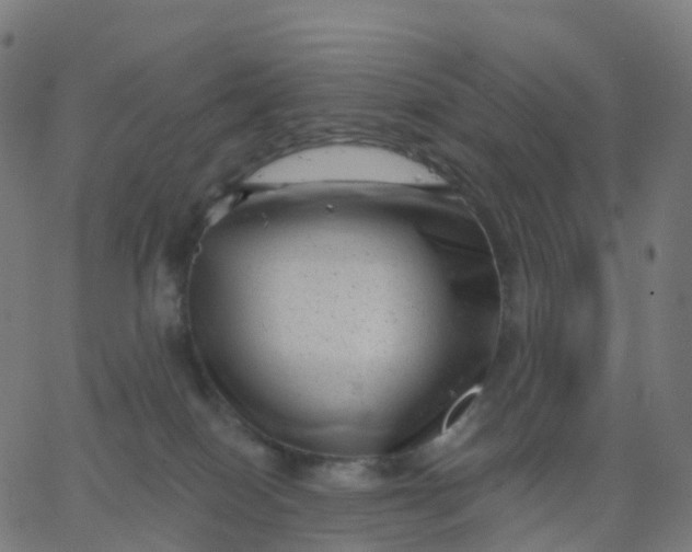 X0000067860086200604271721