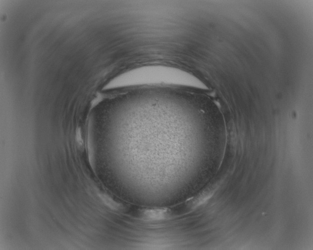 X0000067860089200604271721