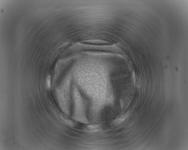 X0000067860095200604271721