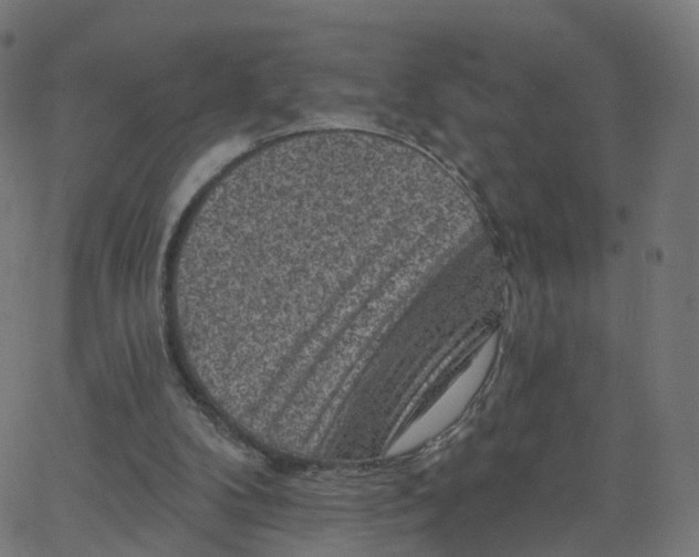 X0000067860104200604271720