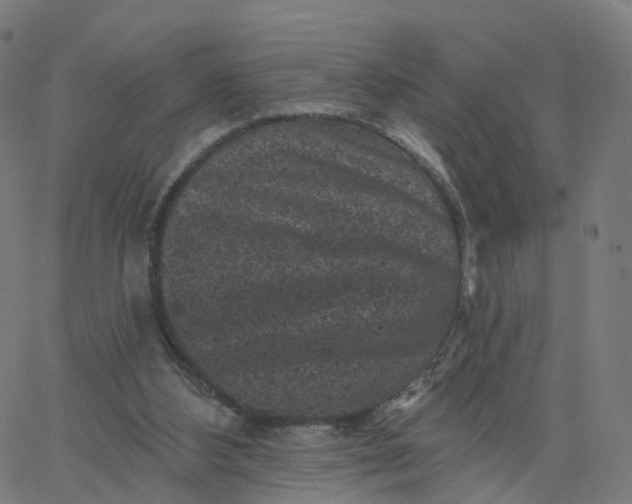 X0000067860108200604271720