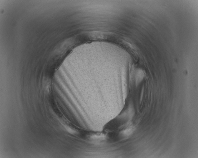 X0000067860125200604271720