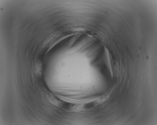 X0000067860138200604271720