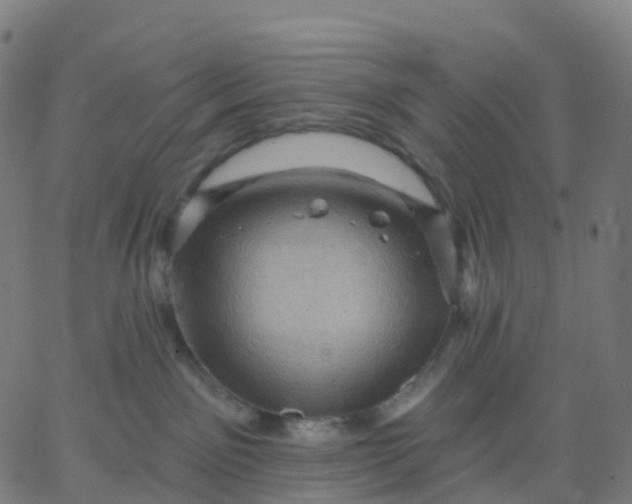 X0000067860141200604271720