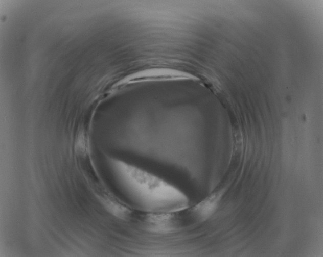 X0000067860143200604271720