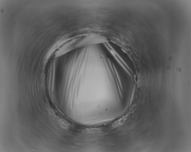 X0000067860150200604271719