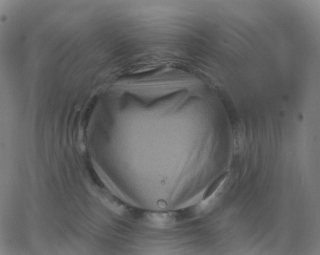 X0000067860187200604271719