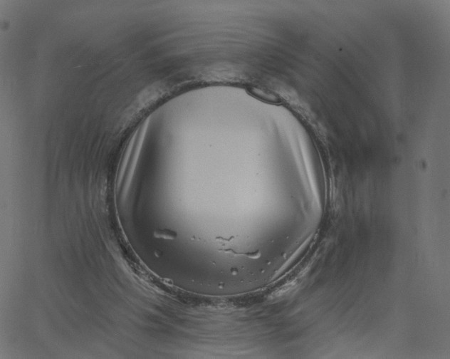 X0000067860201200604271719