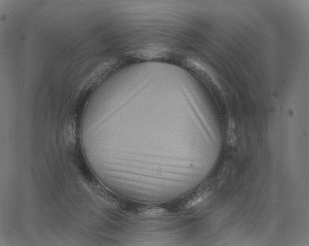 X0000067860210200604271719