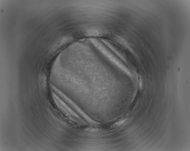 X0000067860211200604271718