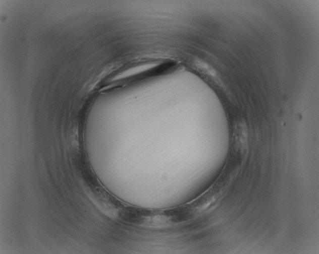 X0000067860212200604271718