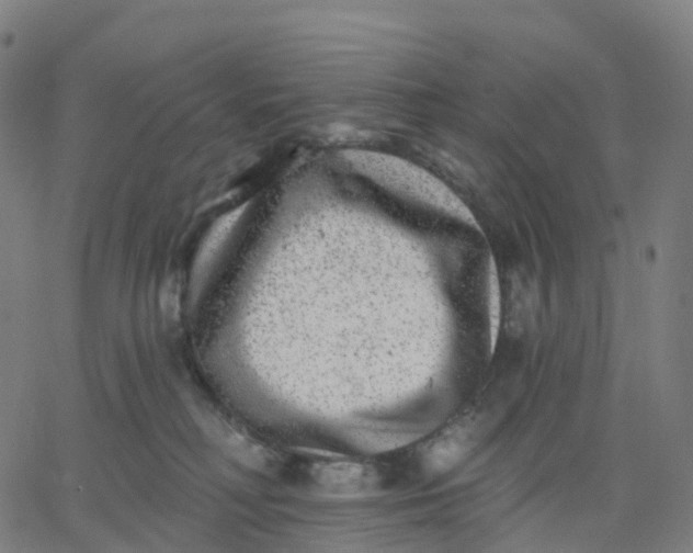 X0000067860230200604271718