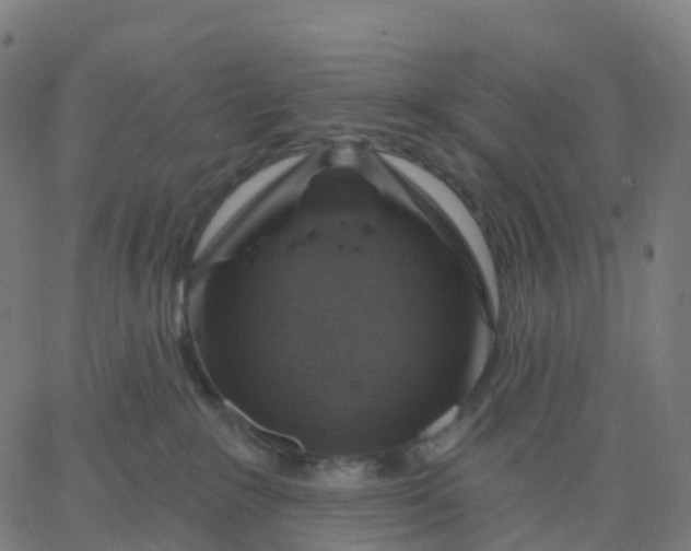 X0000067860235200604271718