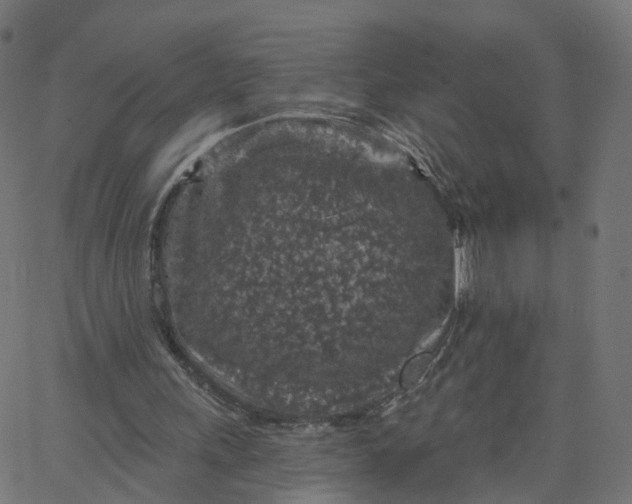 X0000067860243200604271717