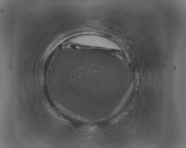 X0000067860247200604271717