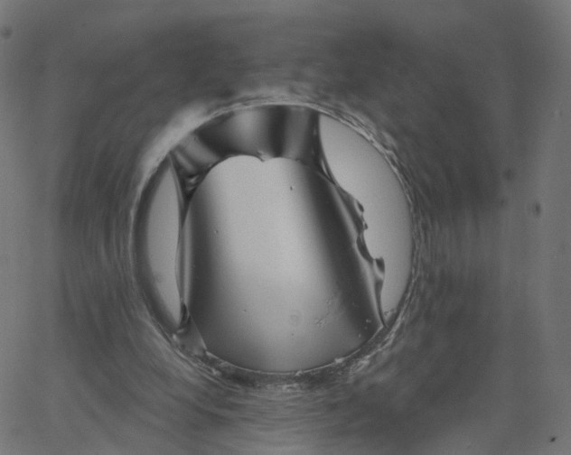 X0000067860248200604271717