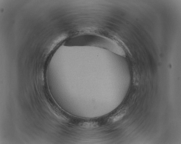 X0000067860251200604271717