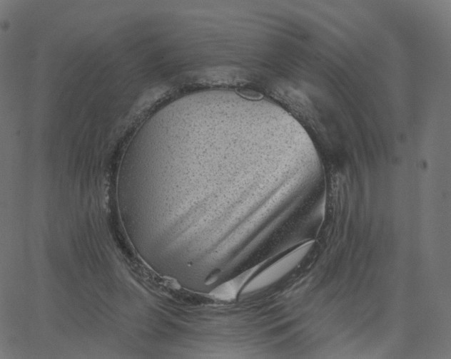 X0000067860255200604271717