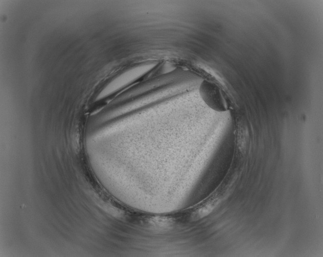 X0000067860261200604271717
