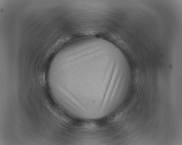 X0000067860262200604271717