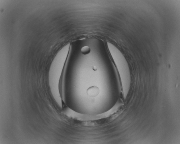 X0000067860272200604271718