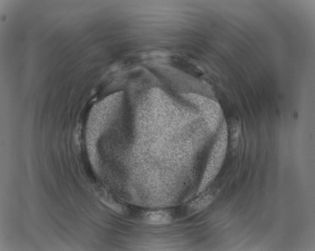 X0000067860275200604271718