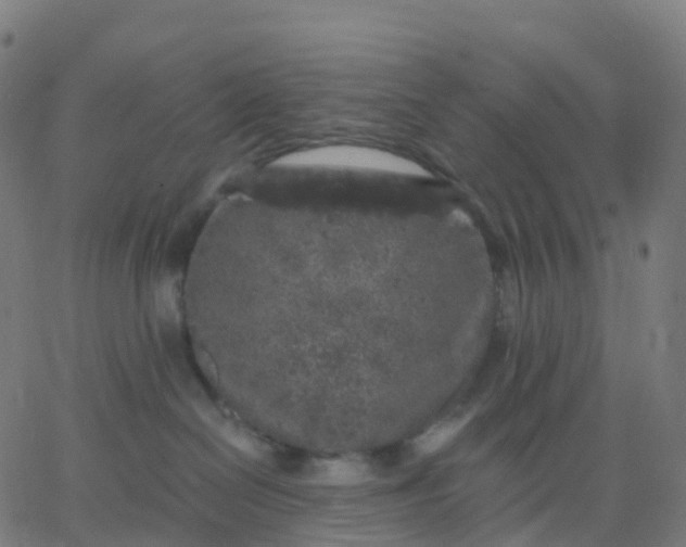 X0000067860286200604271718