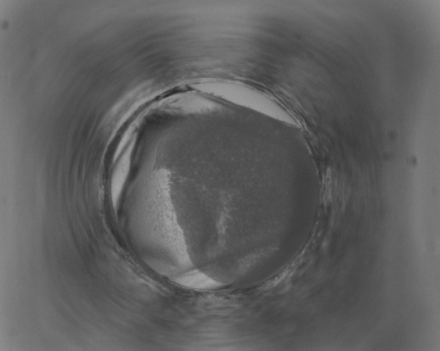 X0000067860290200604271717