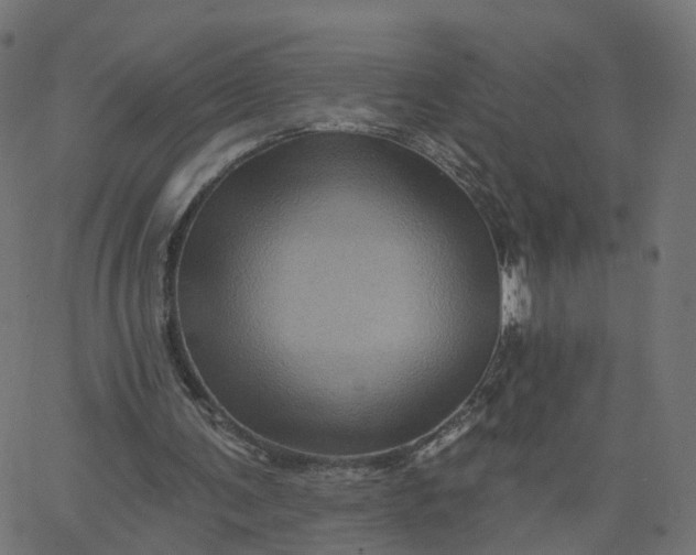 X0000067860291200604271717