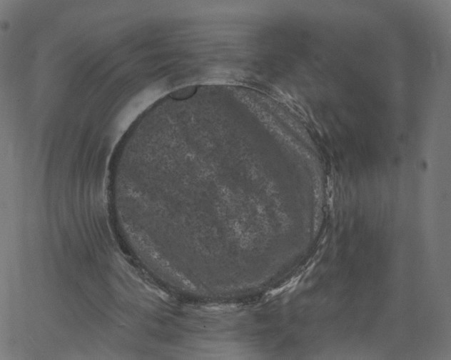 X0000067860292200604271717